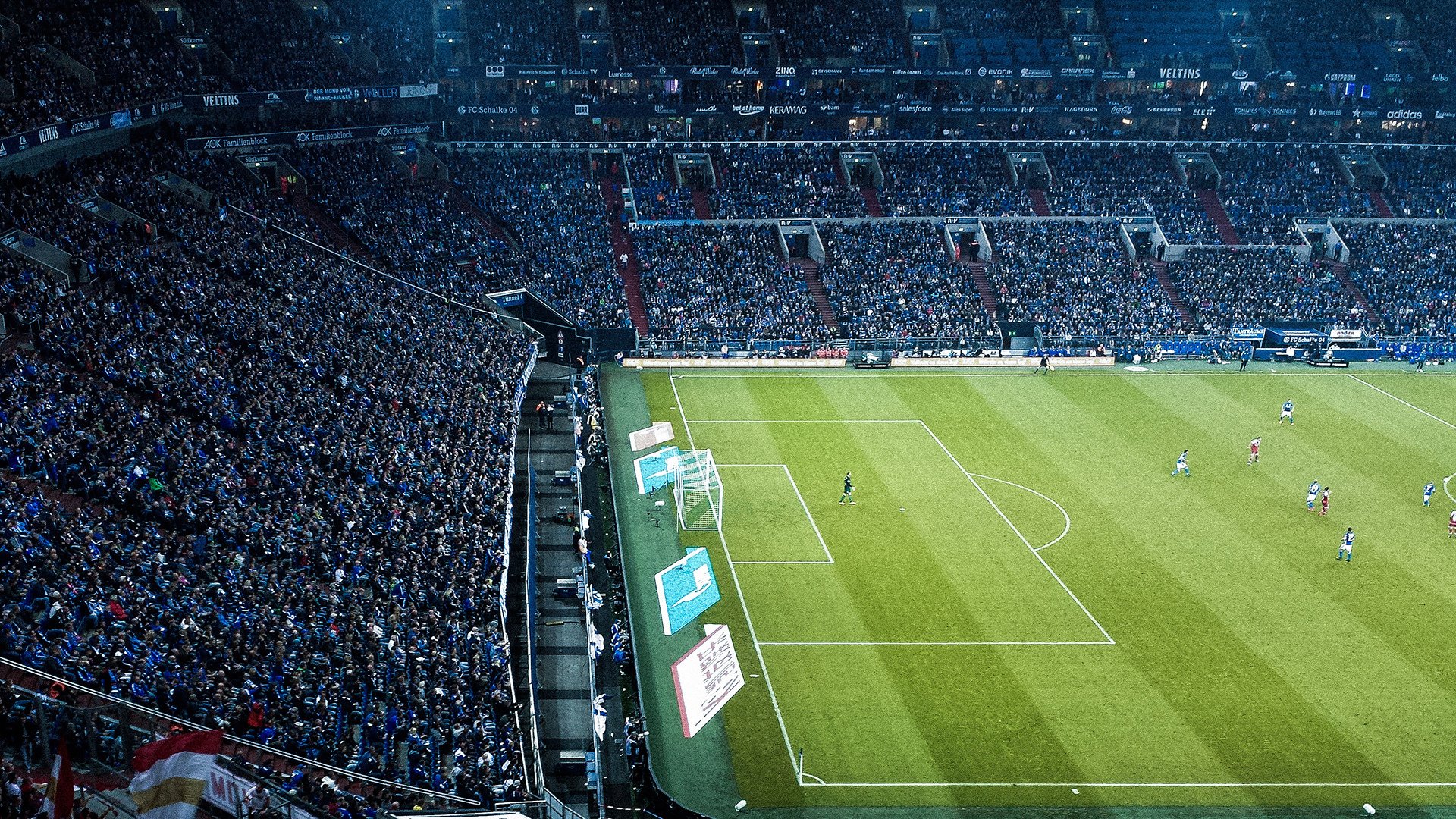 塔图姆的稳定法则,当凯尔特人绿潮遇上森林狼的寒流