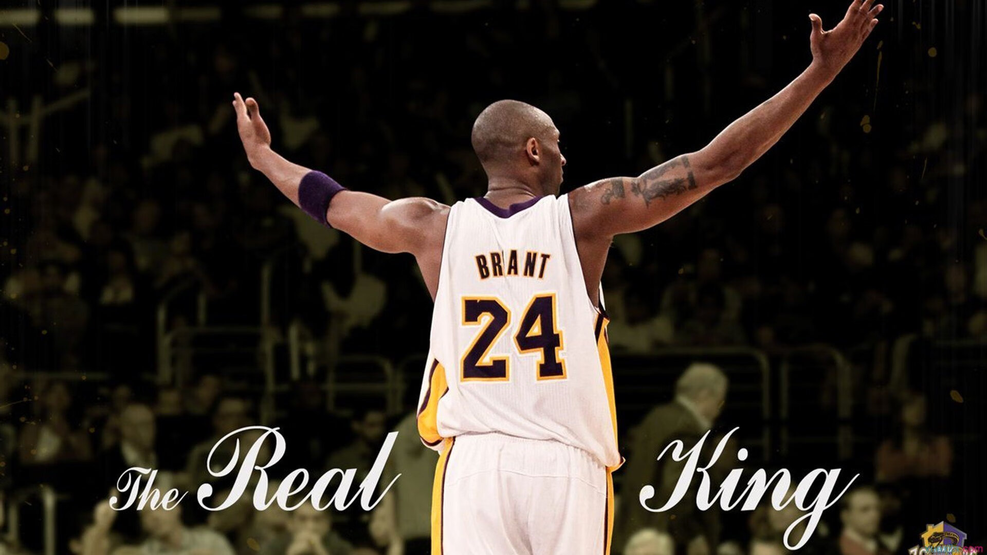 赛道与球场，当F1争冠焦点战遇上独行侠的逆袭